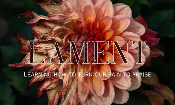 What is Lament? Image